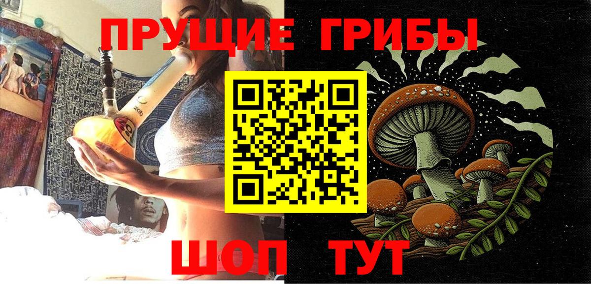 Галлюциногенные грибы Psilocybe  Вход с VPN  Галлюциногенные грибы мухоморы  Городец 