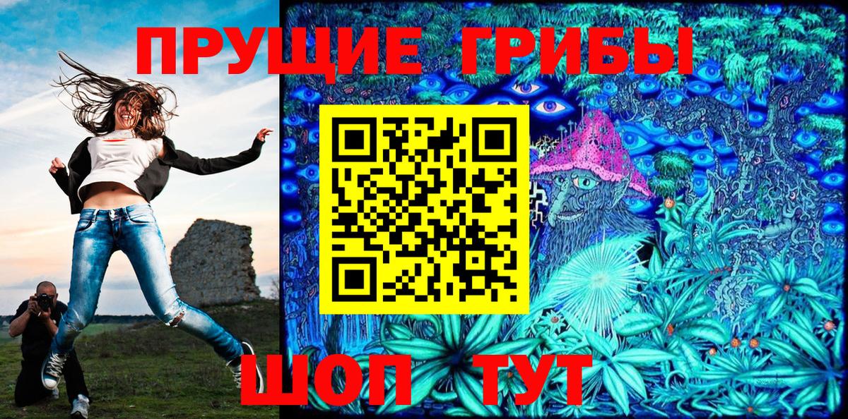Псилоцибиновые грибы Psilocybine cubensis Городец